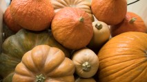 In this Feb. 8, 2017, file photo, pumpkins are pictured at a stand in a trade fair in Berlin, Germany. Pumpkin spice-themed products are hitting shelves as early as August this year.