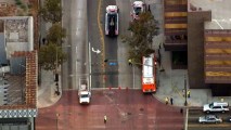 tree bus downtown sept15 Metro Bus Crashes in Downtown LA