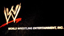 WWE Investigating Cybersecurity 