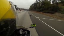 David Lasher captured this video from his motorcycle of a duck flying in traffic on the 118 Freeway Wednesday Sept. 13, 2017.