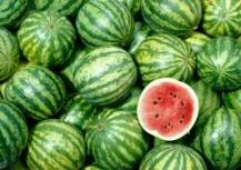 Making Biofuel Out of Watermelon Rejects