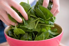 Salmonella Scare: Spinach Recalled