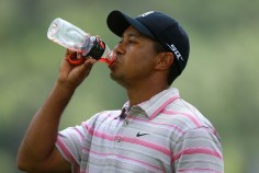 Sponsors Stand Firm Behind Tiger