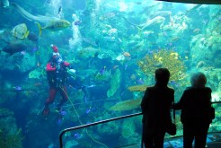 An Ocean of Yuletide Cheer