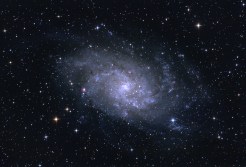 The Universe Inside Downtown