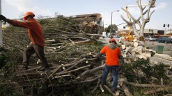 Gusty Winds Headed for Southland Through Weekend