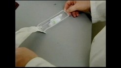 Changes in Childhood Vaccine Schedule
