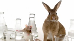 Artist Force-Fed, Injected at Cosmetics Store in Protest Against Animal Testing 