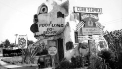 Ansel Adams in LA