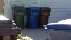 Trash Bins Stolen for the Plastic