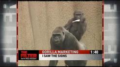 Can We All Just Read My Book?