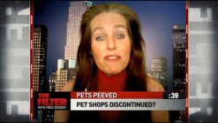 Money, Guns and Pets