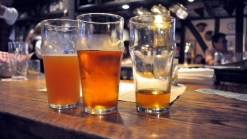 Pub Crawl, Meet the Beer Hop