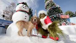 Universal's Grinchmas Welcomes Celeb Readers