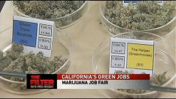 Get High, and Get a Job!