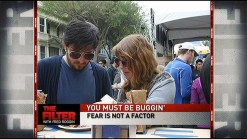Why You Buggin'