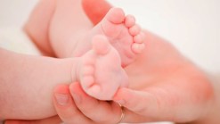 Can Circumcision Protect Against Prostate Cancer?