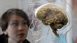 Getting to the Heart of the Brain