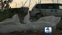 L.A. City Council Votes to Enact Plastic Bag Ban