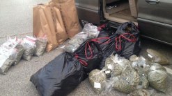 $1M Pot-Growing Operation Found in Palos Verdes Home