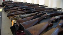 ATF Sting Nets 5 Men, 13 Guns