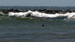 Monday's Forecast: Big Waves, Wind Return