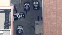 Man Jumps to His Death at UCLA: Campus Officials