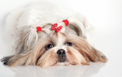 Woof! Southern California Pet Expo