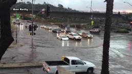 Raw Video: Lamborghini Goes for Swim