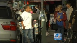 Illegal Animal Trade Continues in Fashion District