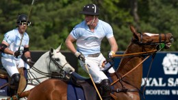 Prince Harry Connecticut