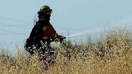 Brush Fire Burns Near Lake Mathews