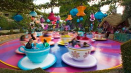 Crackdown Means Longer Lines at Disneyland