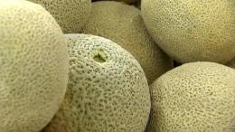 Cantaloupe Listeria Outbreak Could Be Deadliest in a Decade