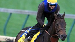 game-on-dude-breeders-cup
