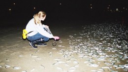 A Grunion Goodbye