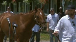 "I'll Have Another" Scratched in Belmont Stakes