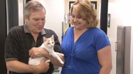 Stowaway Kitten Travels to LA in Freighter from China