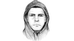 Sketch of UCLA Attacker Released
