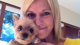 Dognapped Yorkie Found Safe Near Home