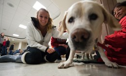 121211_OxyFinals_Dogs-5