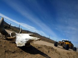 Baja California Beckons: Images