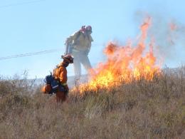 November 2008: Viewer Images from SoCal Fires