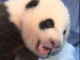 Today's Awww Moment