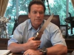 Schwarzenegger the Slasher Wins in Court