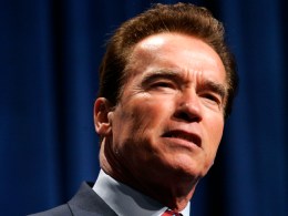 Arnold Schwarzenegger Tees Off on Tea Party