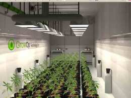 Pot Farm On Wheels