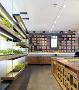 Marijuana Dispensary Wins Int'l Design Award