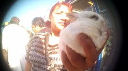 Collaring Animal Traffickers a Low Priority for LAPD