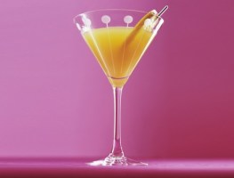 Torani Pumpkin Pie Syrup